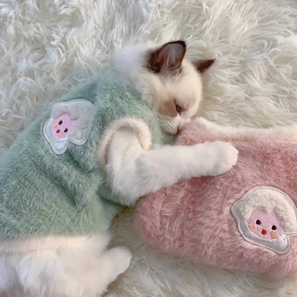 Winter Kitten Clothes