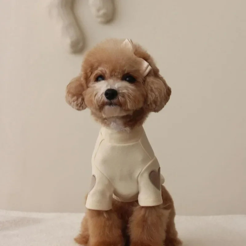 Love Bear Winter Hoodie for Pets