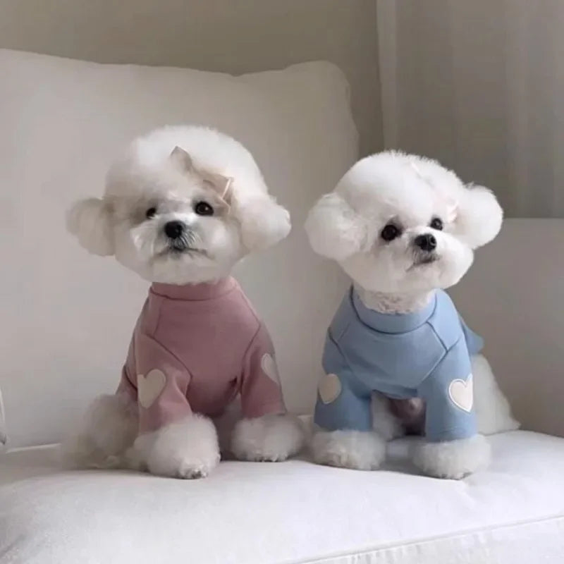 Love Bear Winter Hoodie for Pets