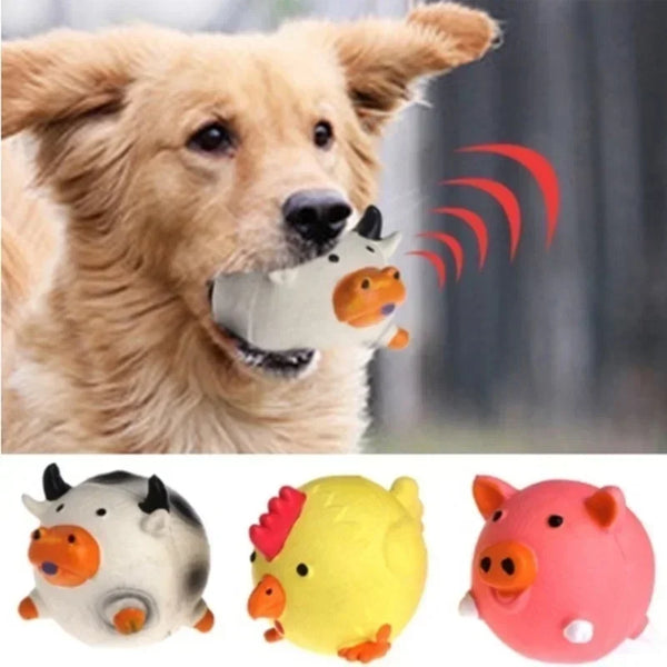 Pet Dog Squeaky Toy