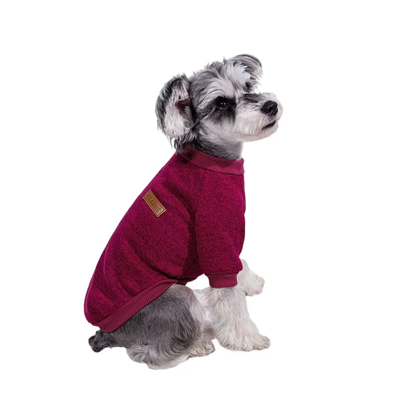Winter Dog Jacket