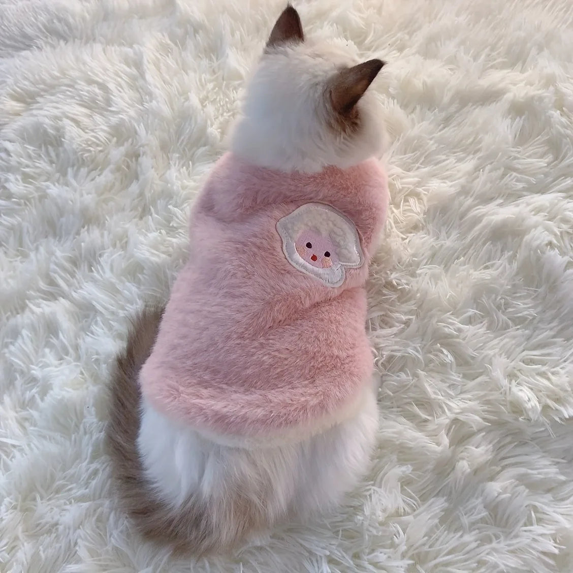 Winter Kitten Clothes