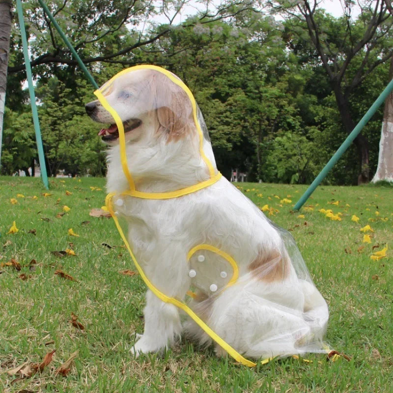 Transparent Dog Raincoat