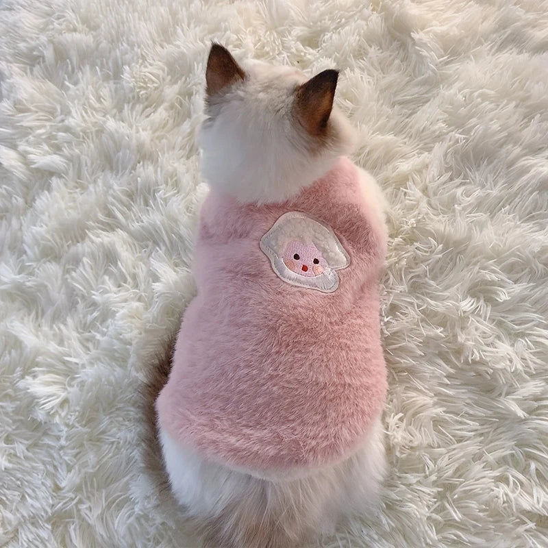 Winter Kitten Clothes