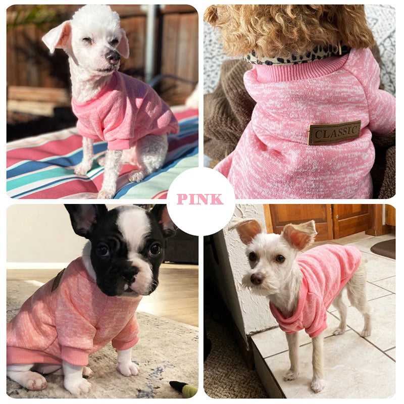 Winter Dog Jacket