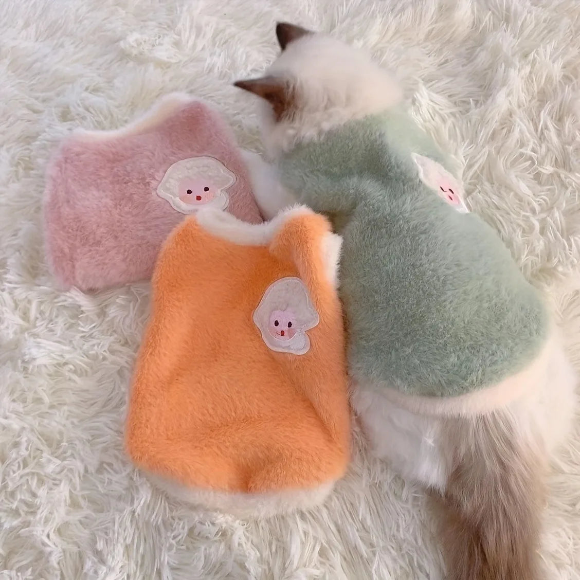 Winter Kitten Clothes