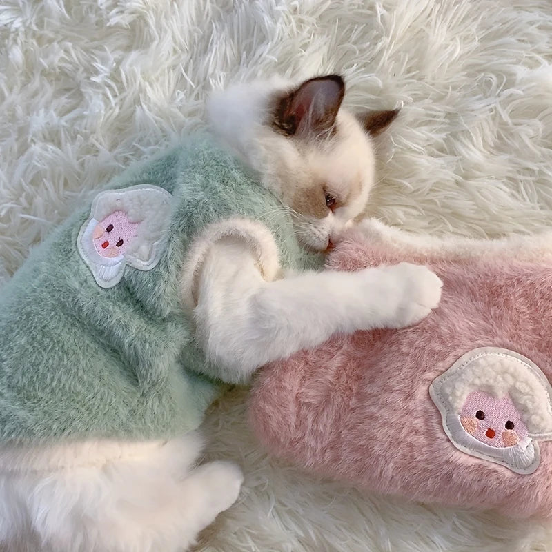 Winter Kitten Clothes