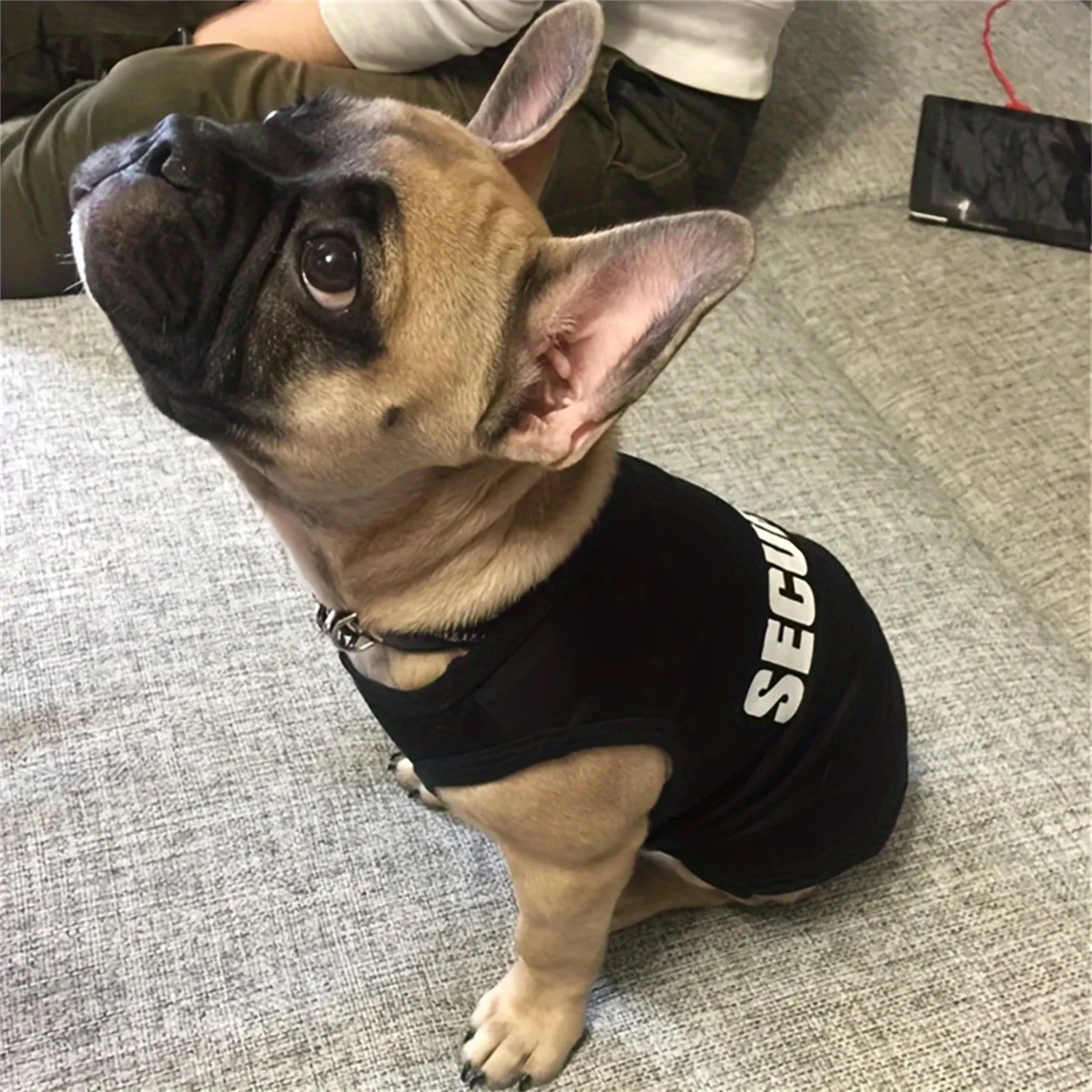 Summer Pet Vest