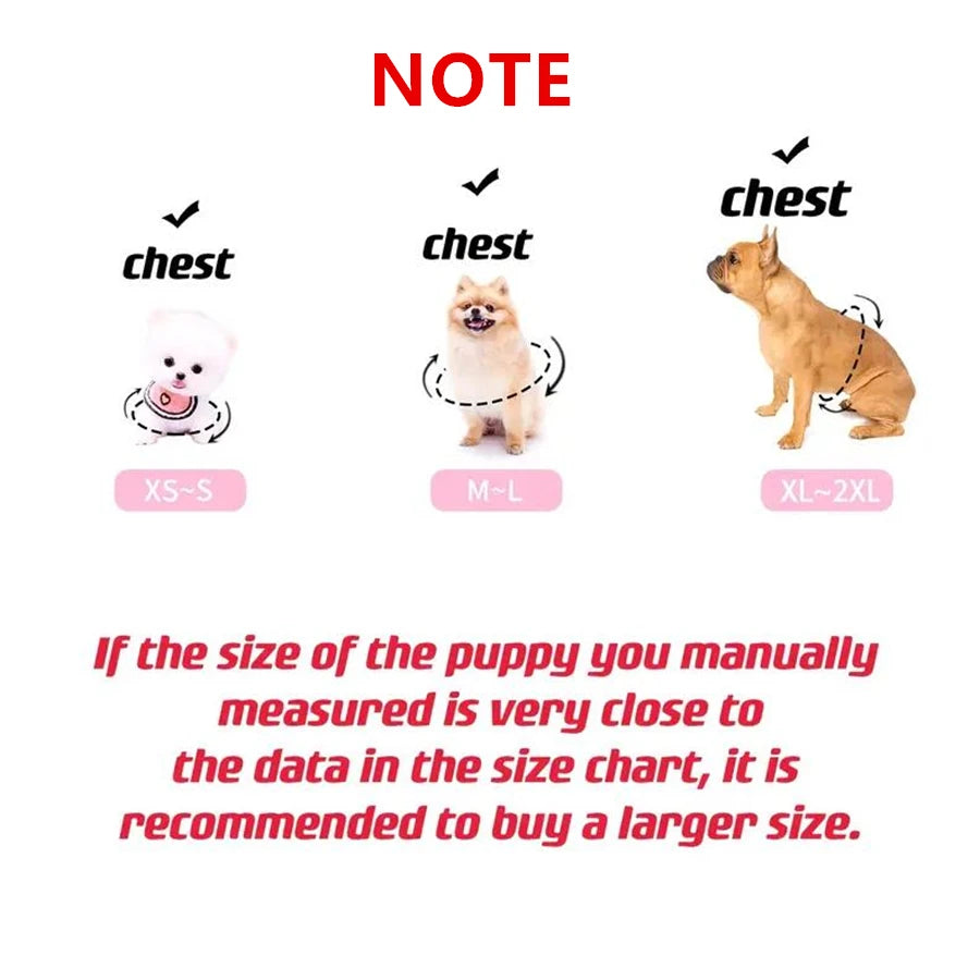 Spring Dog Lace Dress