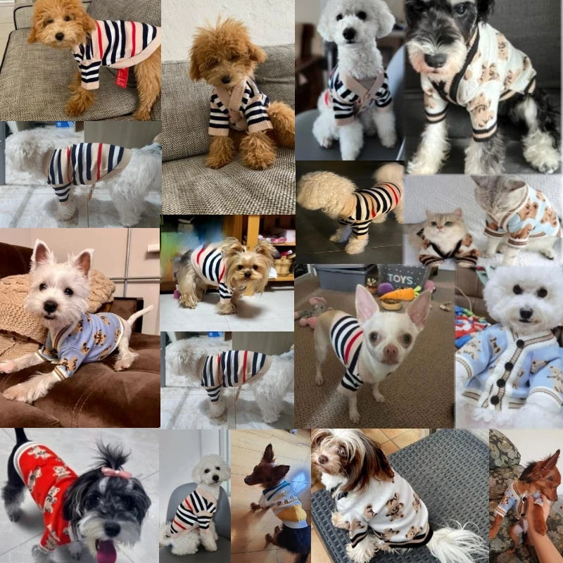 Luxury Striped Cardigan Sweater for Pets