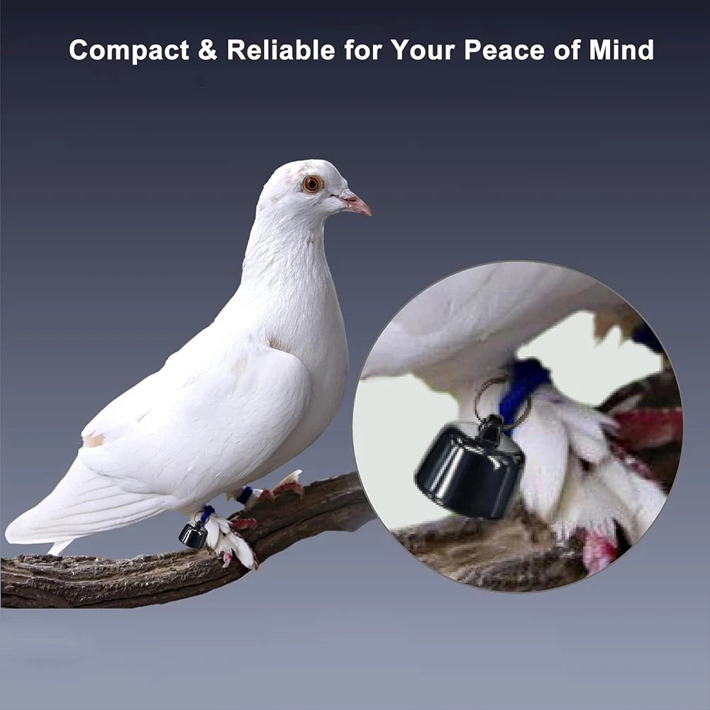 GPS Cat Collar with Reflective Design