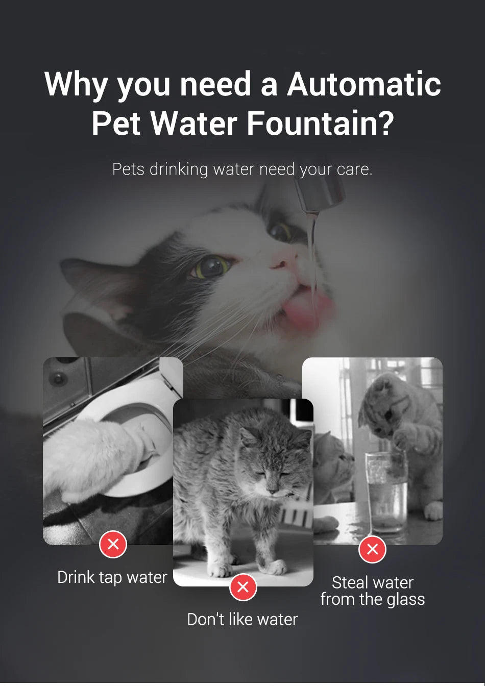 ROJECO Smart Pet Water Fountain