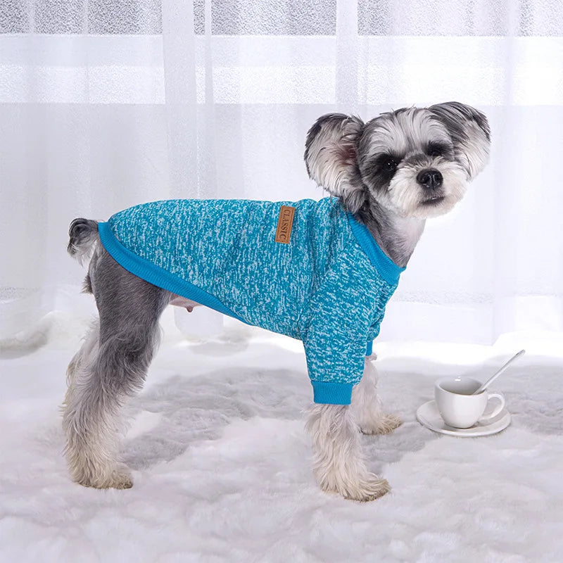Winter Dog Jacket
