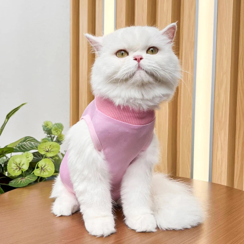 Pet Surgery Recovery Suit