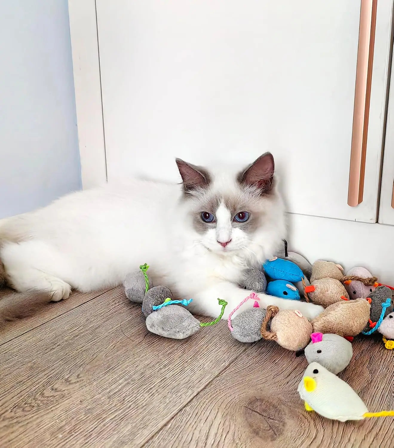 Catnip Rattle Mouse Toys for Cats (3–200pcs)