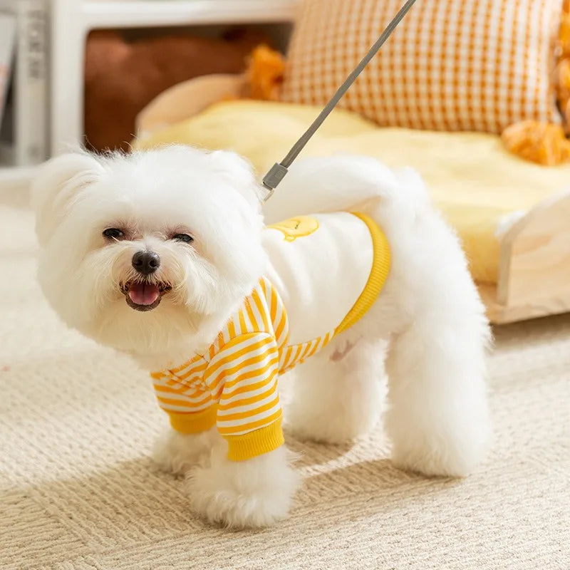 Cute Dog Hoodie with D-Ring – Autumn/Winter