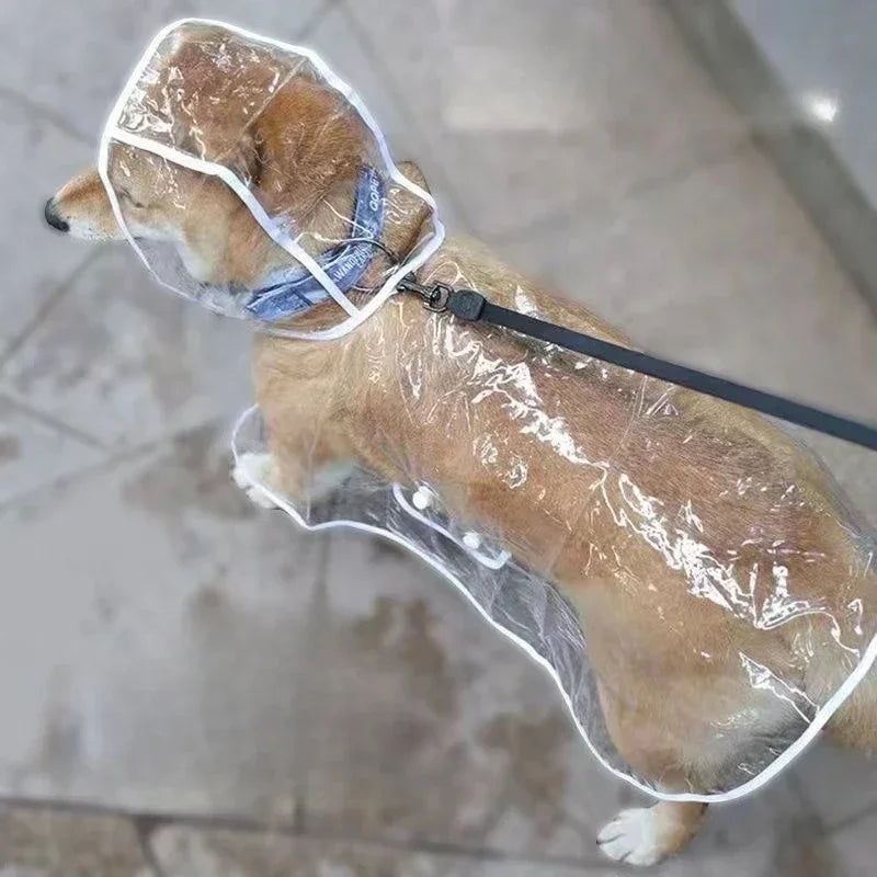 Transparent Dog Raincoat