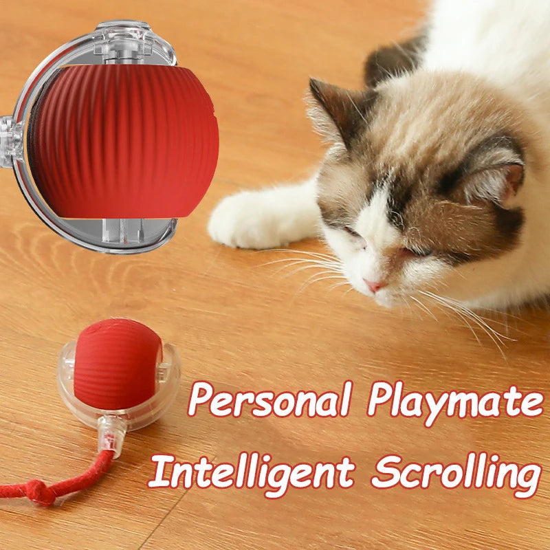 Rechargeable Interactive Cat Ball Toy with Faux Tail