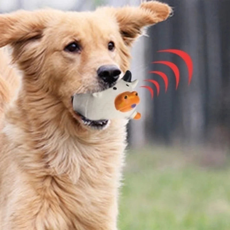 Pet Dog Squeaky Toy