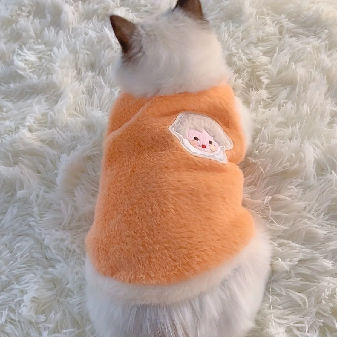 Winter Kitten Clothes