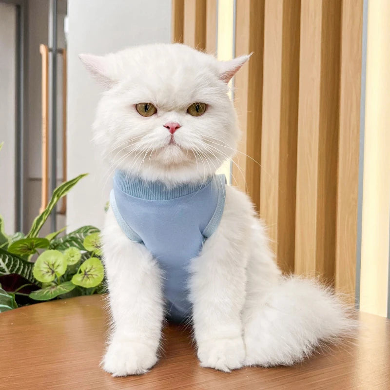 Pet Surgery Recovery Suit
