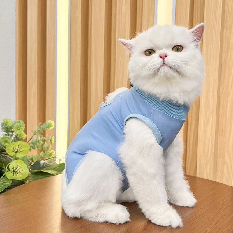 Pet Surgery Recovery Suit