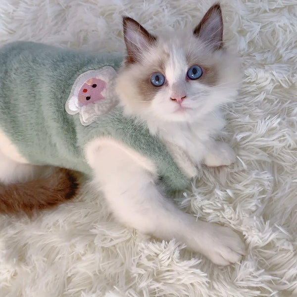 Winter Kitten Clothes