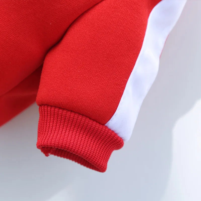 Baseball Dog Jacket Winter Dog Clothes