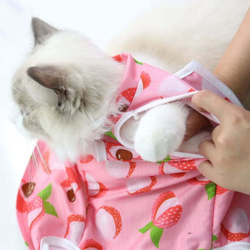 Cat & Dog Surgery Recovery Suit – Anti-Licking Sterilization Clothes