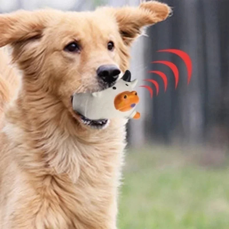 Pet Dog Squeaky Toy