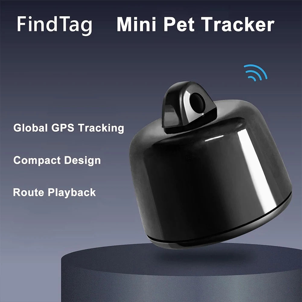 GPS Cat Collar with Reflective Design