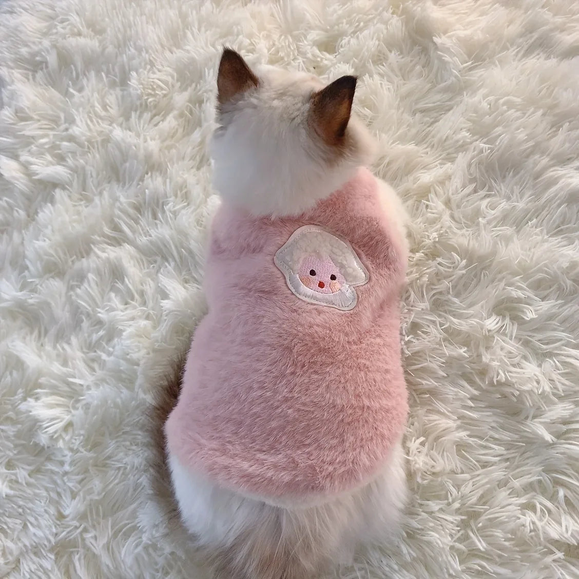 Winter Kitten Clothes