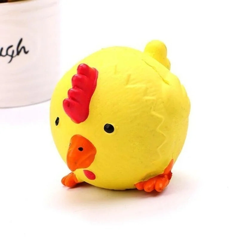Pet Dog Squeaky Toy
