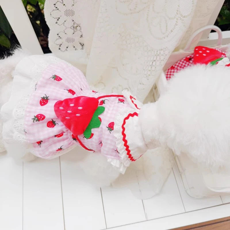 Strawberry Dog Dress