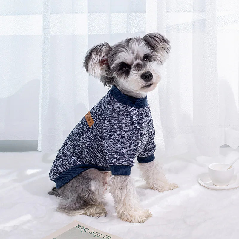 Winter Dog Jacket