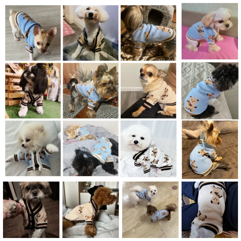 Luxury Striped Cardigan Sweater for Pets