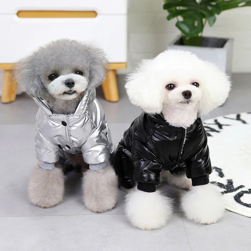 Waterproof Winter Dog Coat – Outdoor Jacket