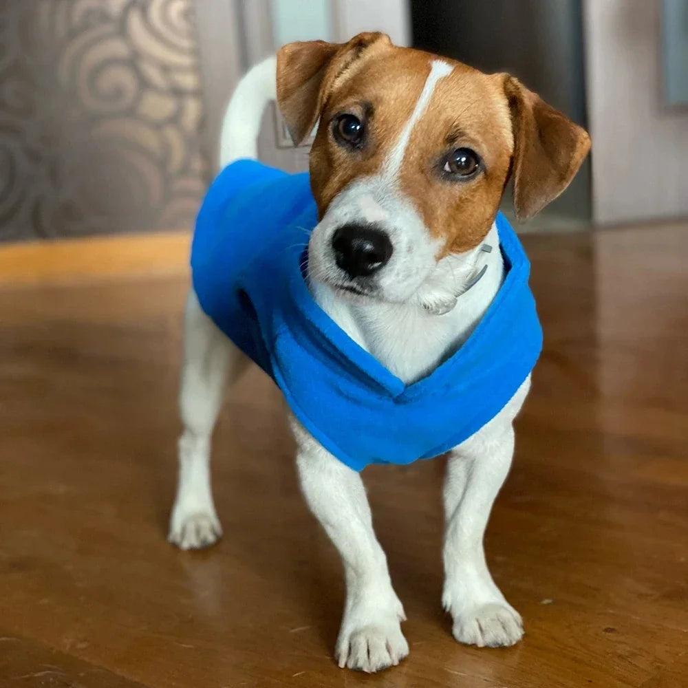 Warm Fleece Dog Jacket with D-Ring