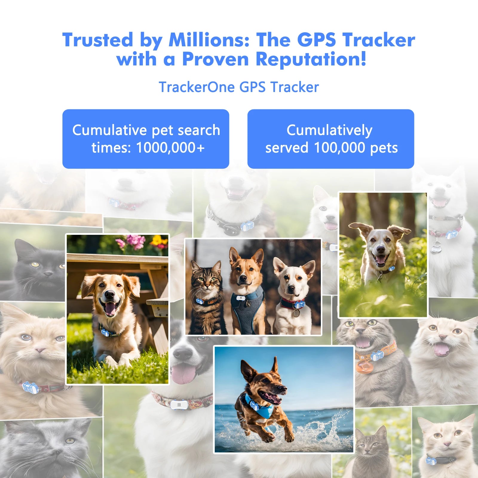 4G GPS Pet Tracker
