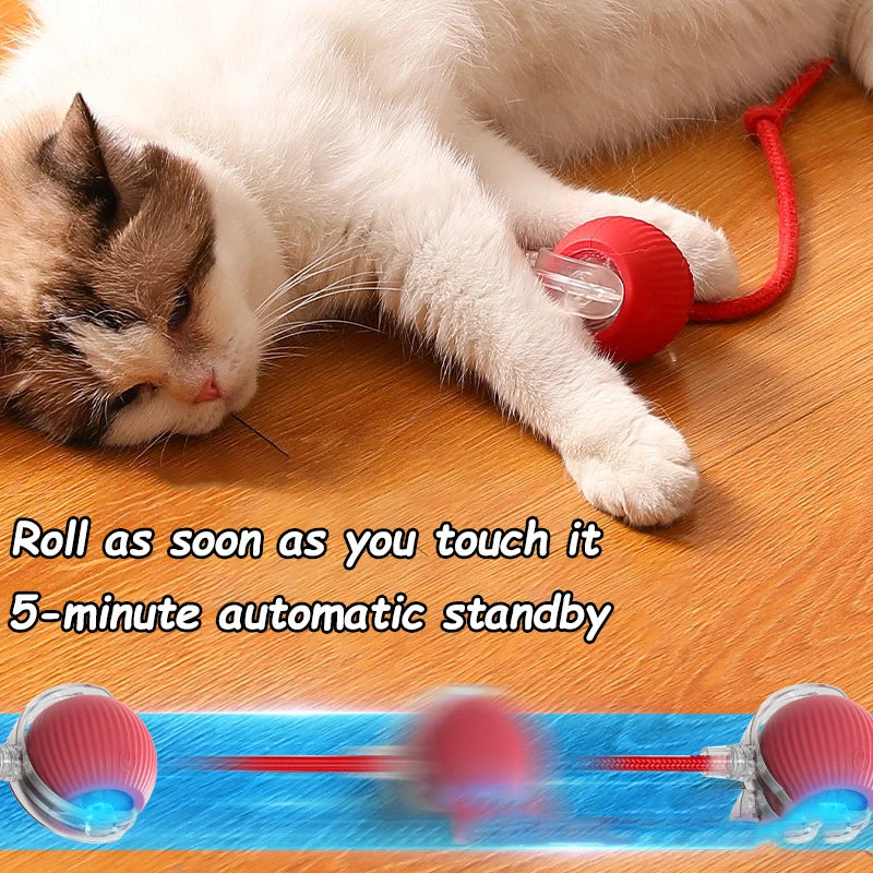 Rechargeable Interactive Cat Ball Toy with Faux Tail