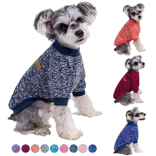 Winter Dog Jacket